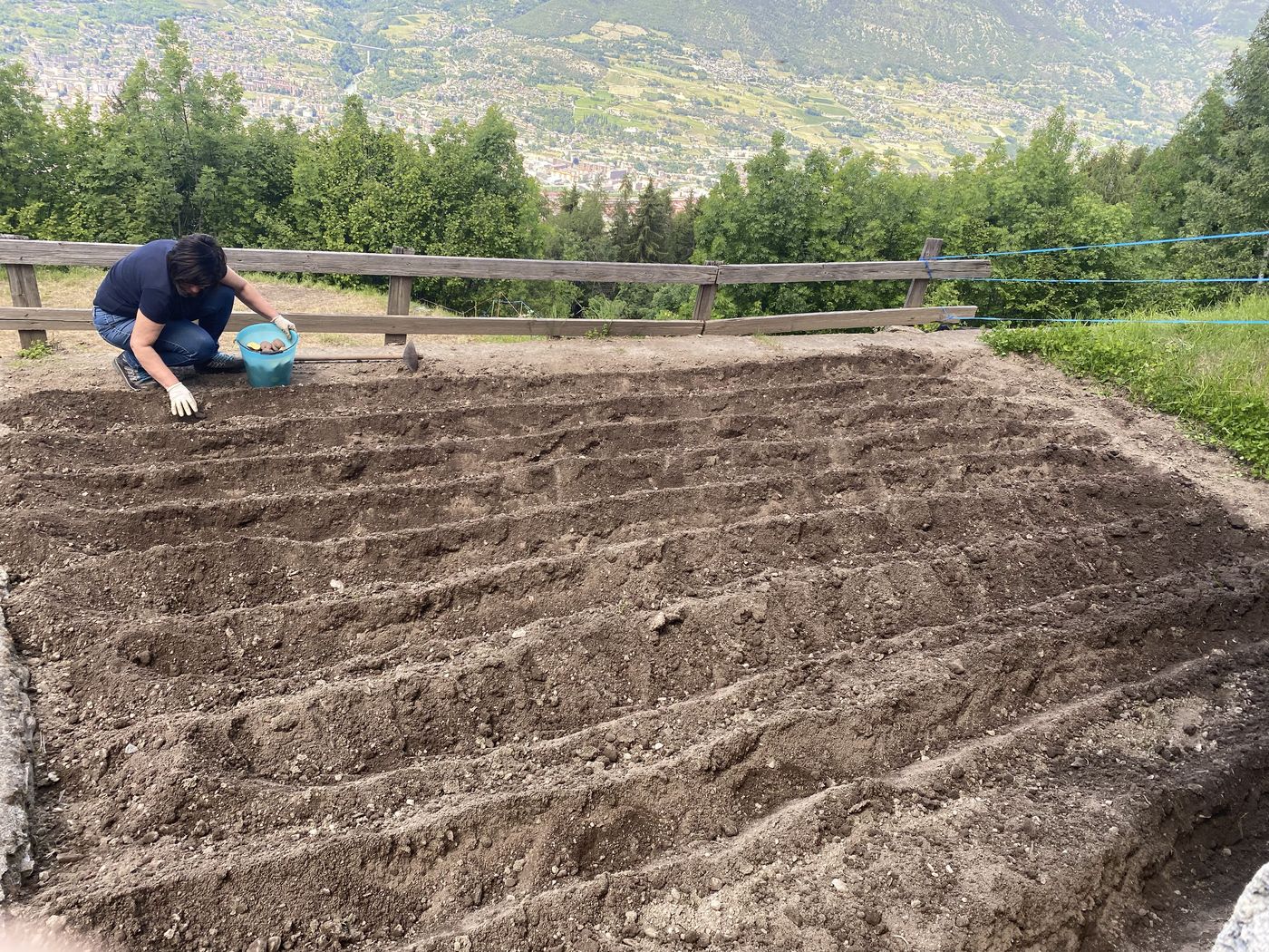 La semina delle patate nell'orto di Coassod con vista sulla valle